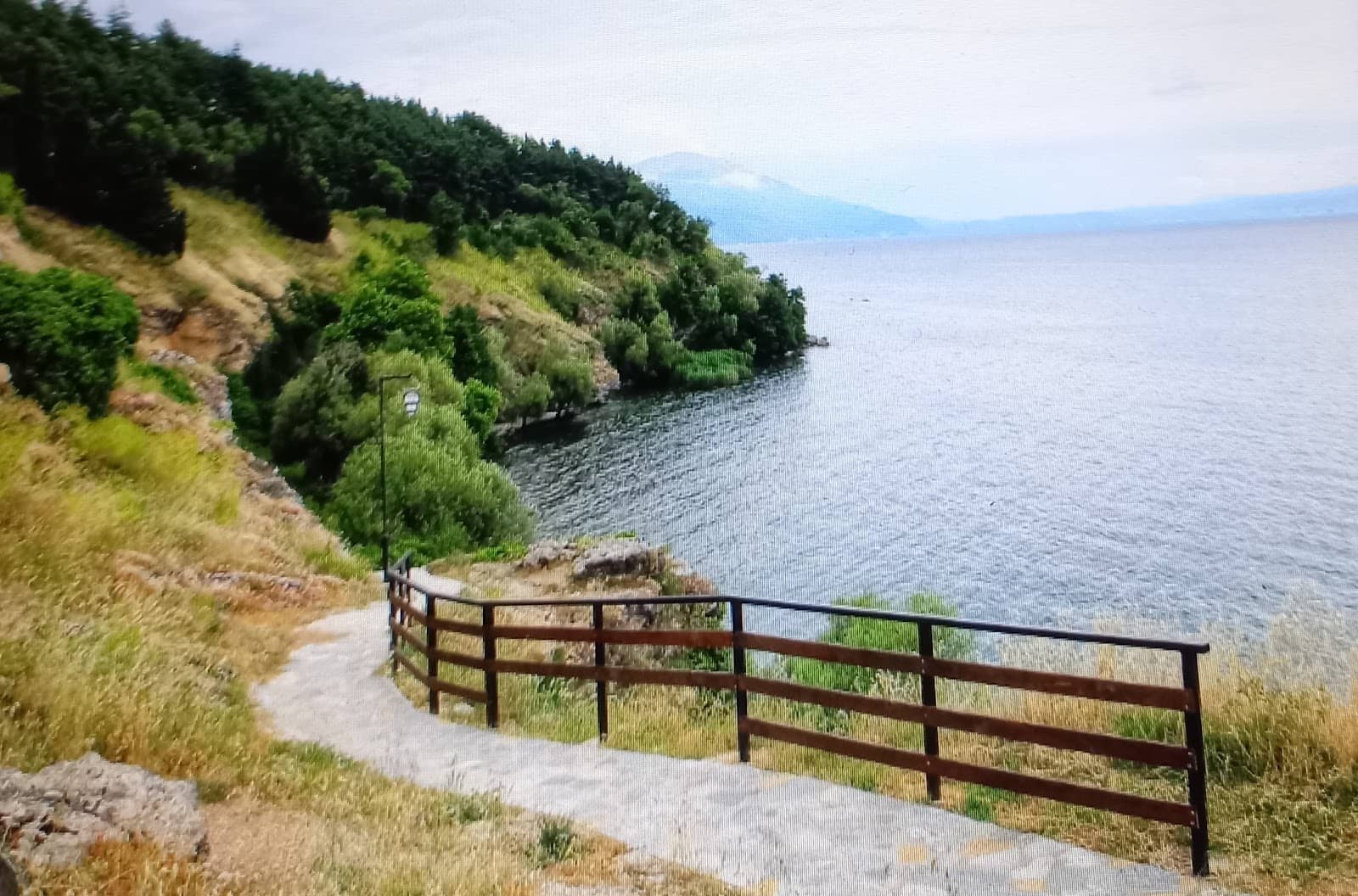 Scenic Path Through Old Town Park