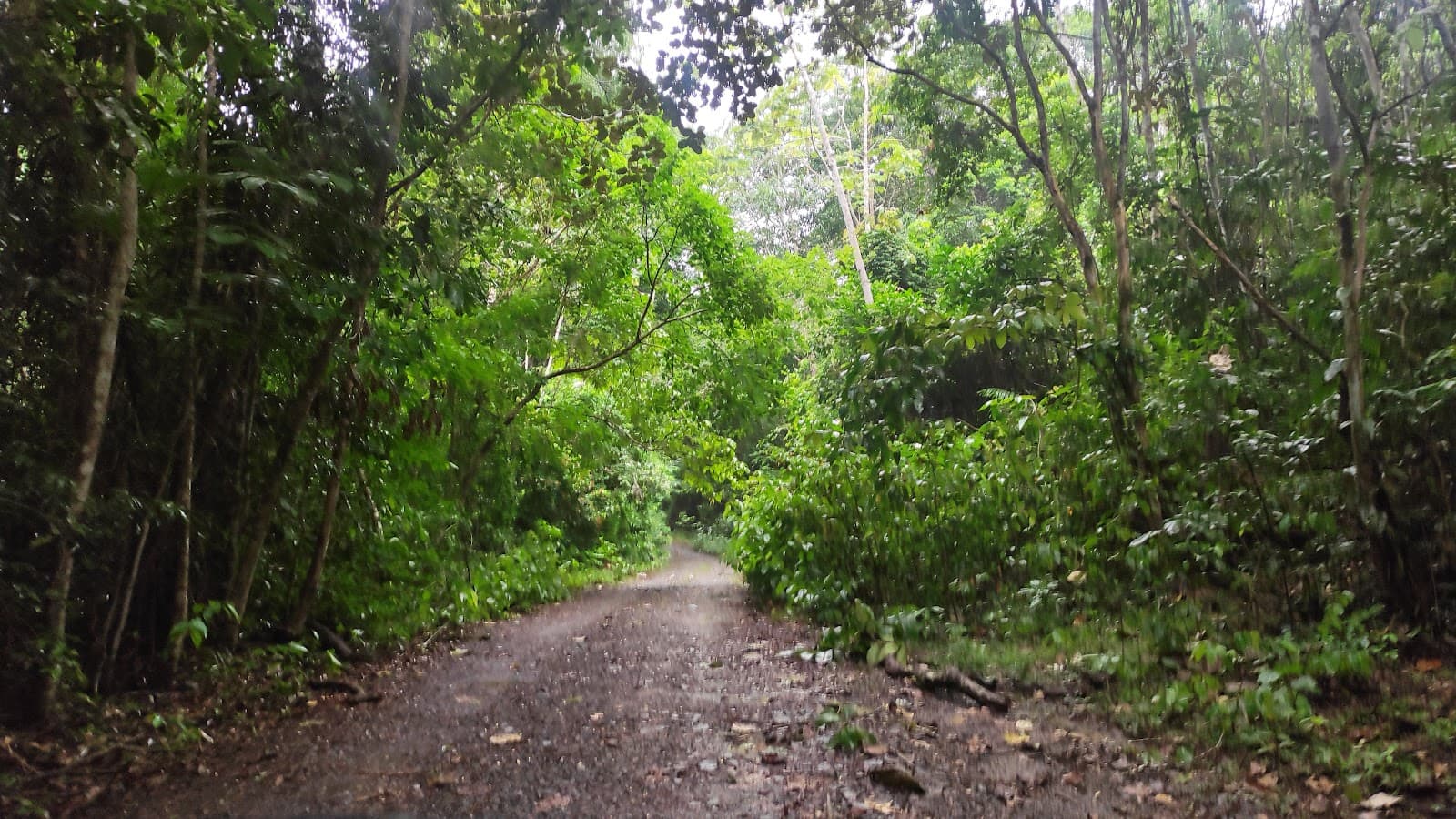 Pipeline Road Panama - Image 1