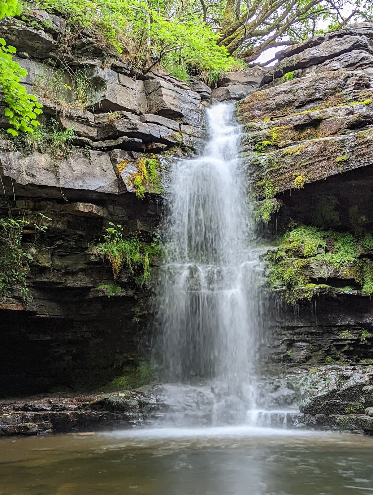 Gibson's Cave Summerhill Force - Image 1