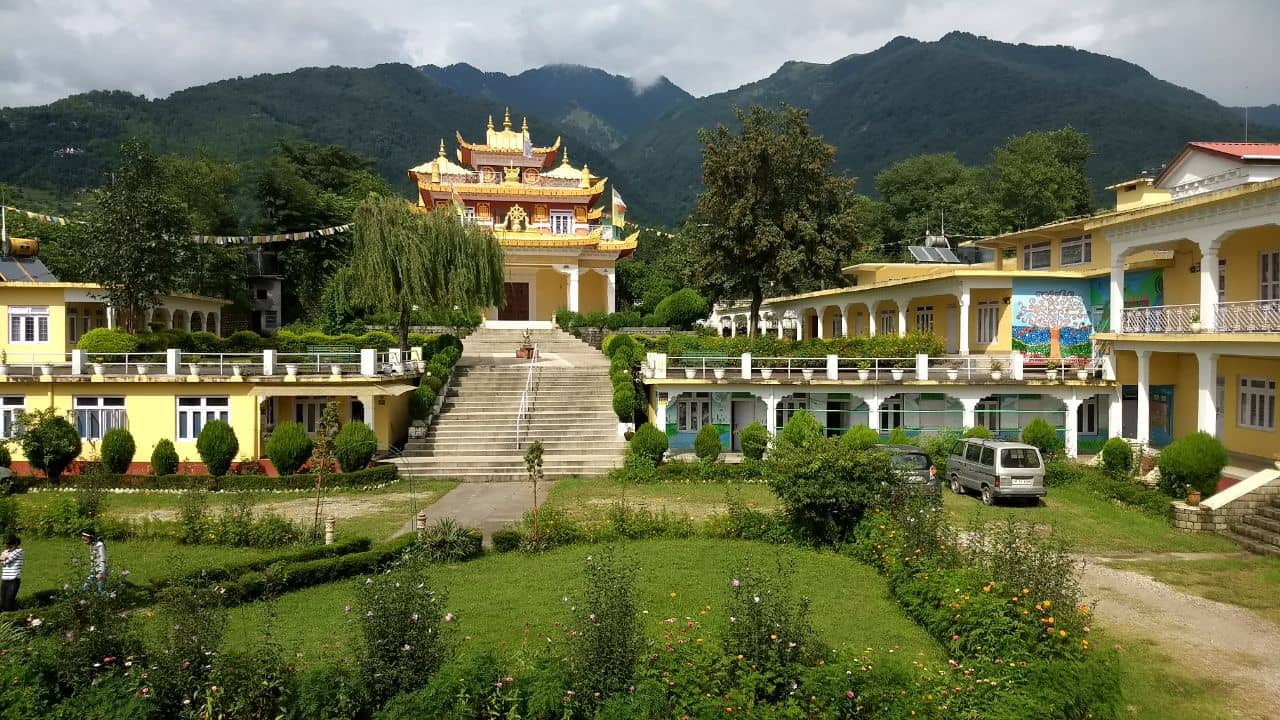 Community Gatherings & Events