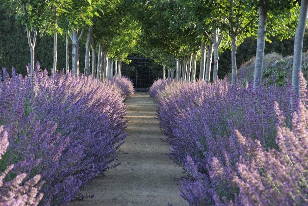 Alowyn Gardens - Image 1