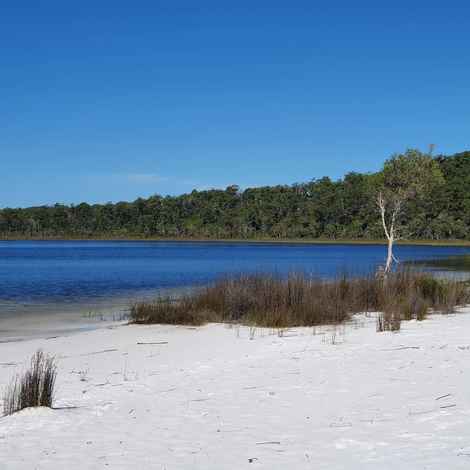 Tranquil Lakeside Serenity