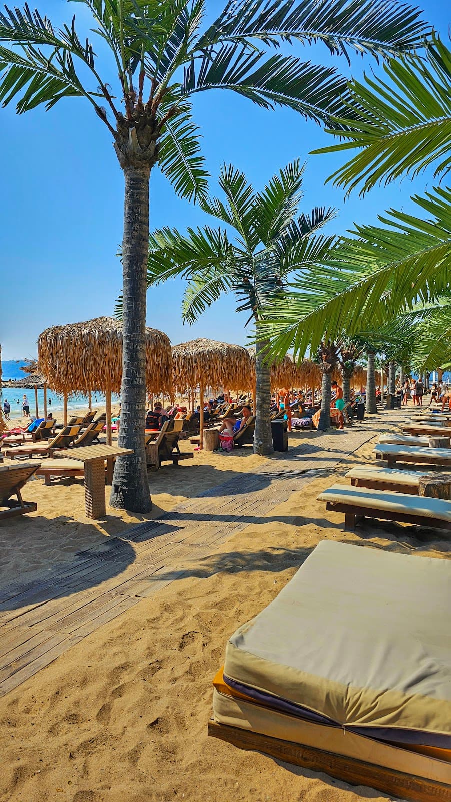 Rappongi Beach - Image 1