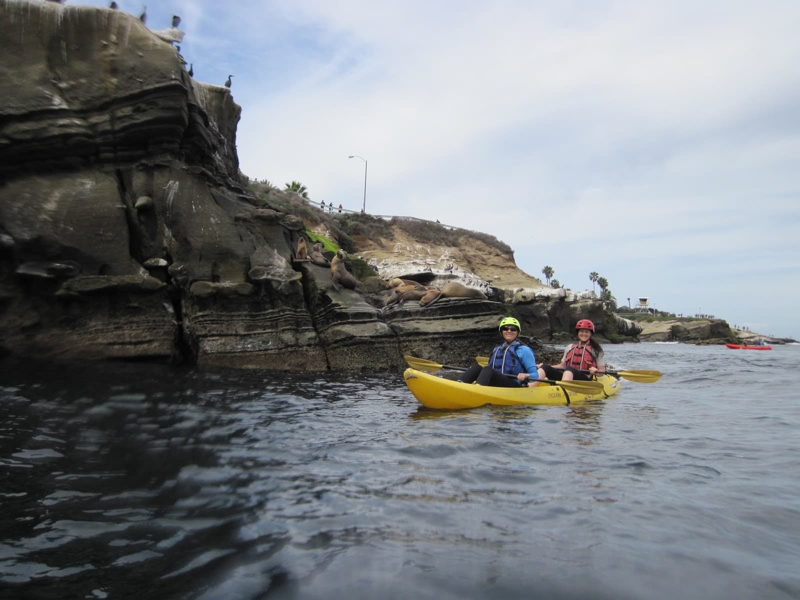 La Jolla Sea Caves - Image 1