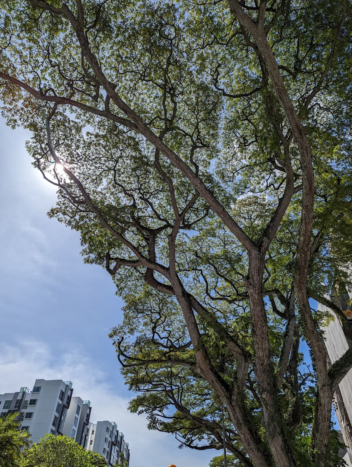 Rifle Range Road - Image 1