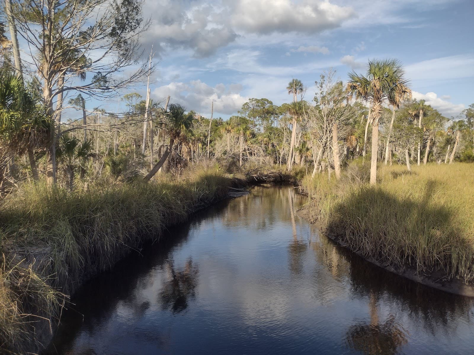 Crystal River Preserve Seven Mile Loop - Image 1