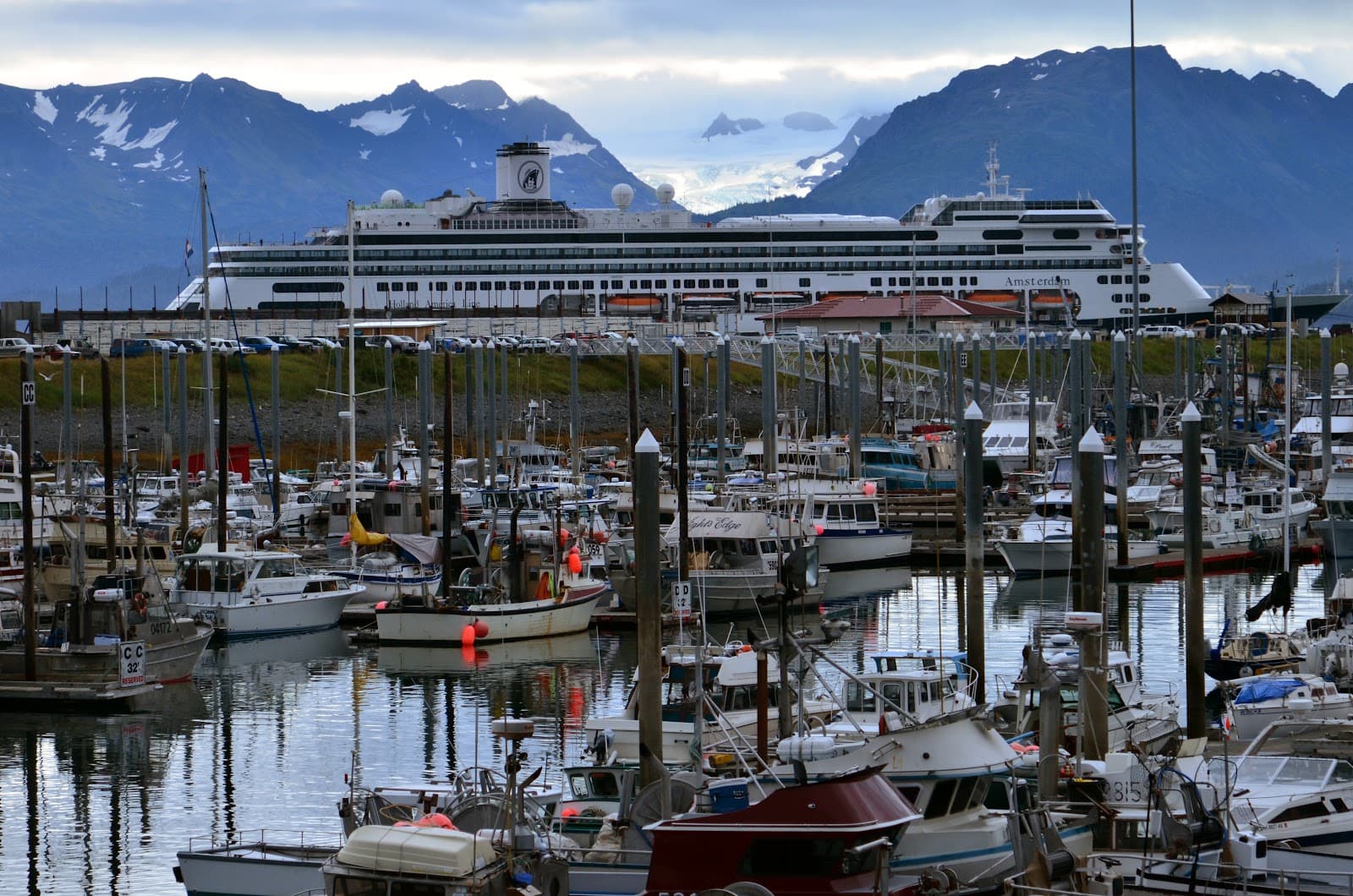 Homer Harbor - Image 1