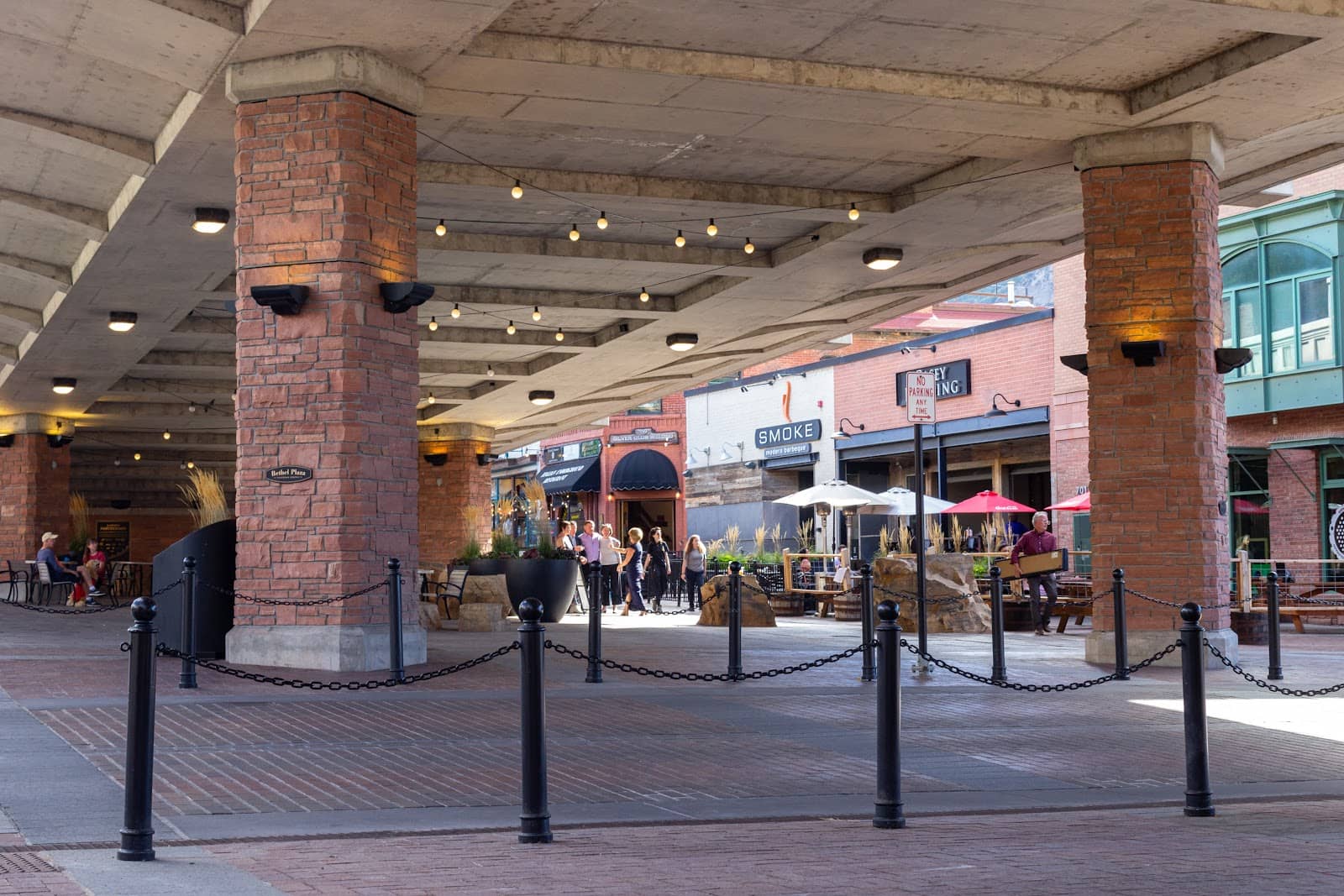 Dog and Kid-Friendly Space