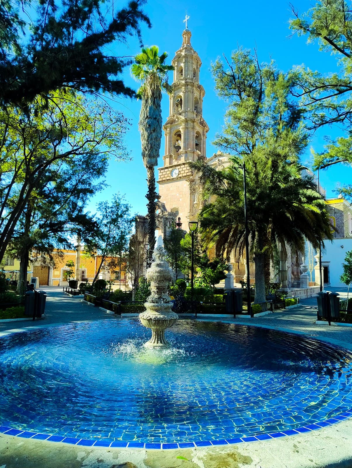 Jardín del Encino - Image 1
