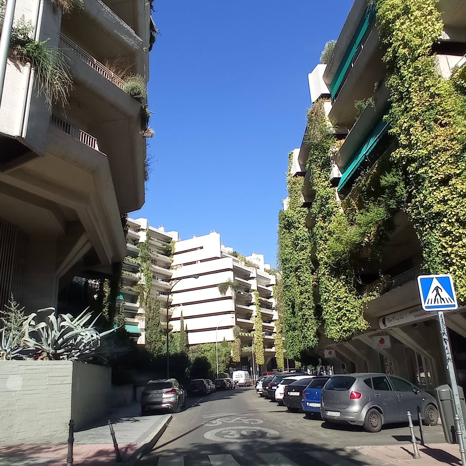 Dual Block Structure