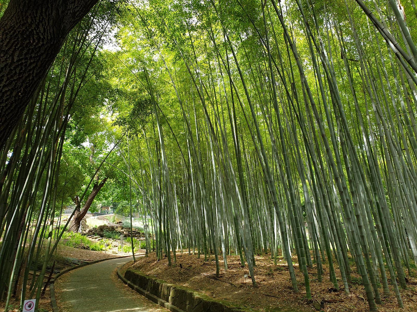 Orto Botanico - Image 1