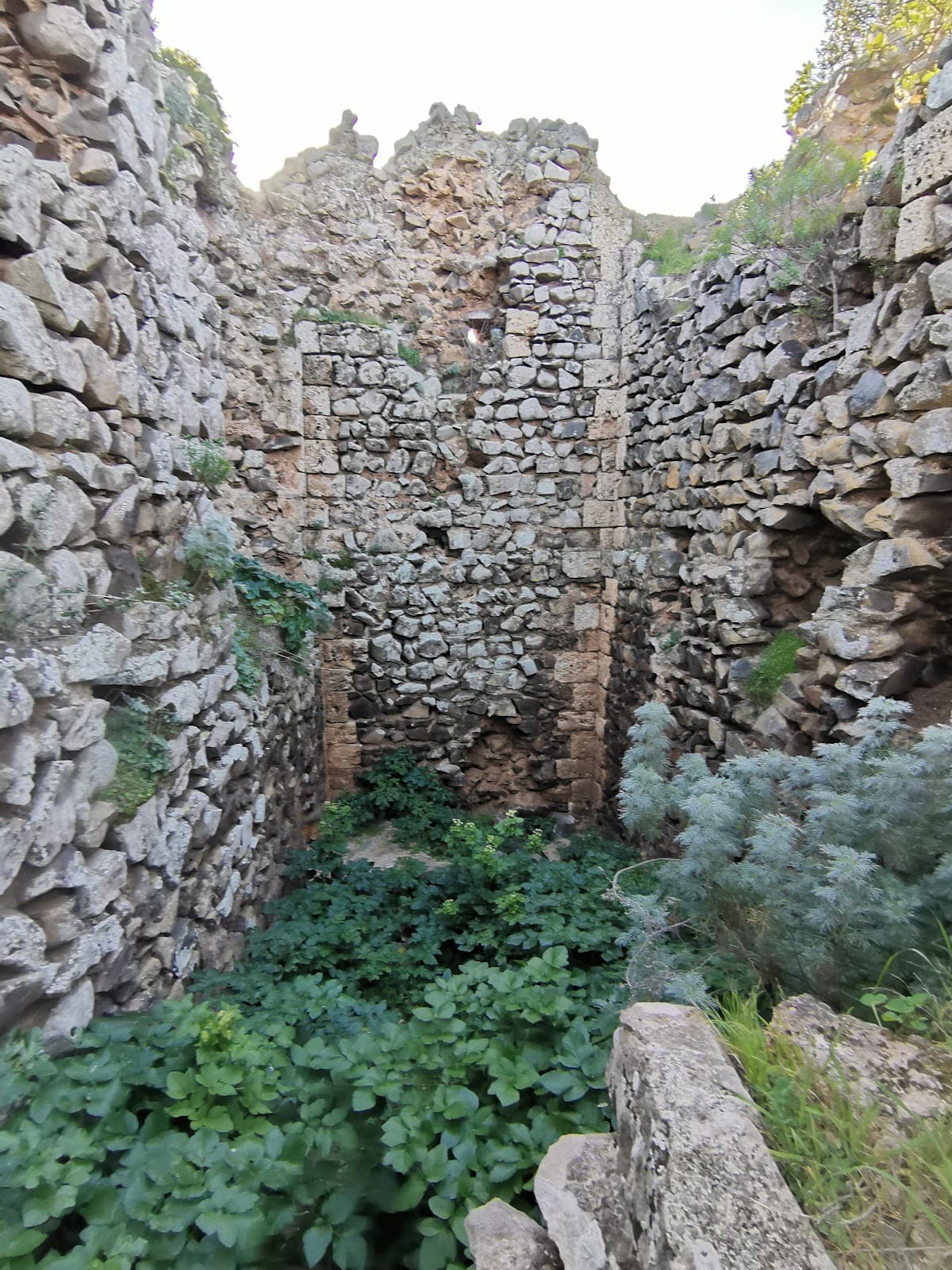 Castello di Gioiosa Guardia (Villamassargia) - Image 1