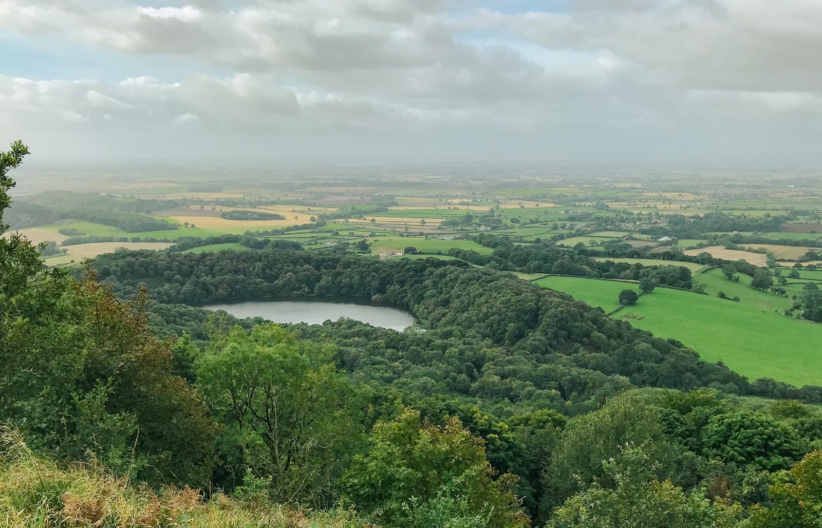 Garbutt Wood Nature Reserve - Image 1