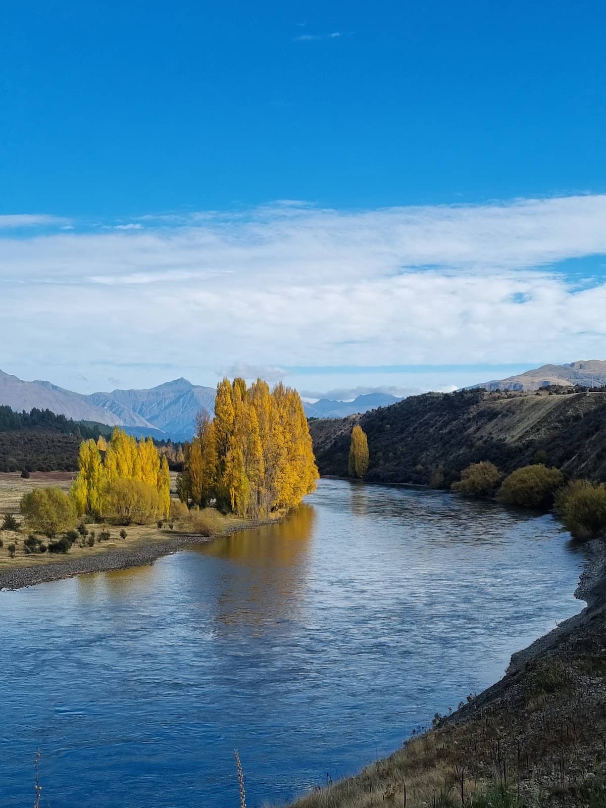 Clutha River Trail