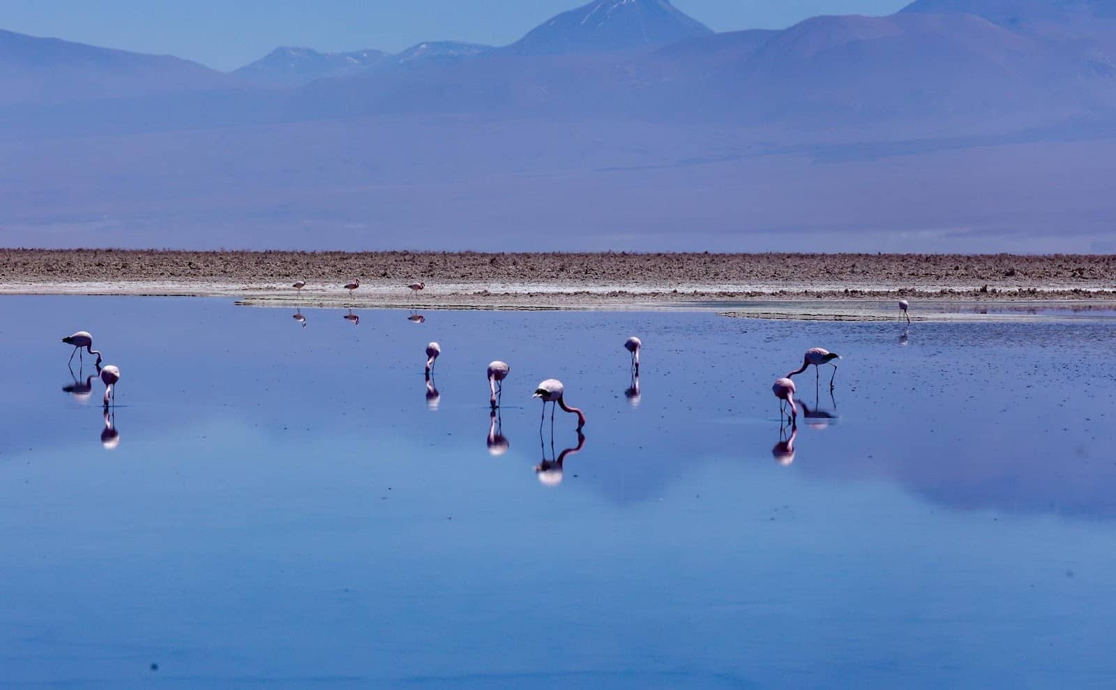 Lascar Volcano Views
