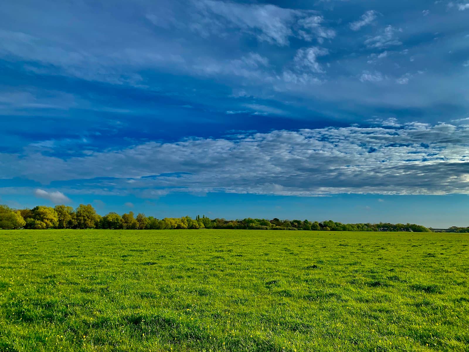 Kite Flying Paradise