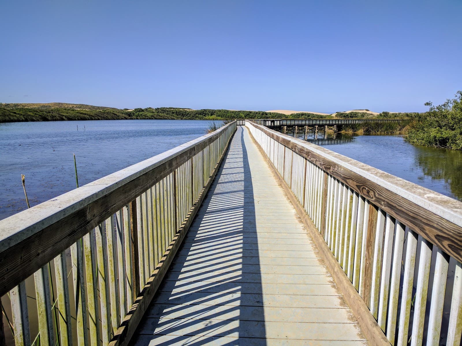 Oso Flaco Lake Trail - Image 1