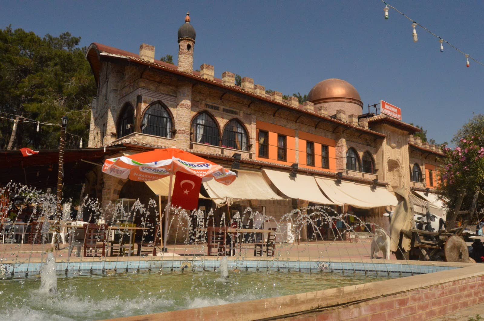 Sauna, Steam Room & Pool Access