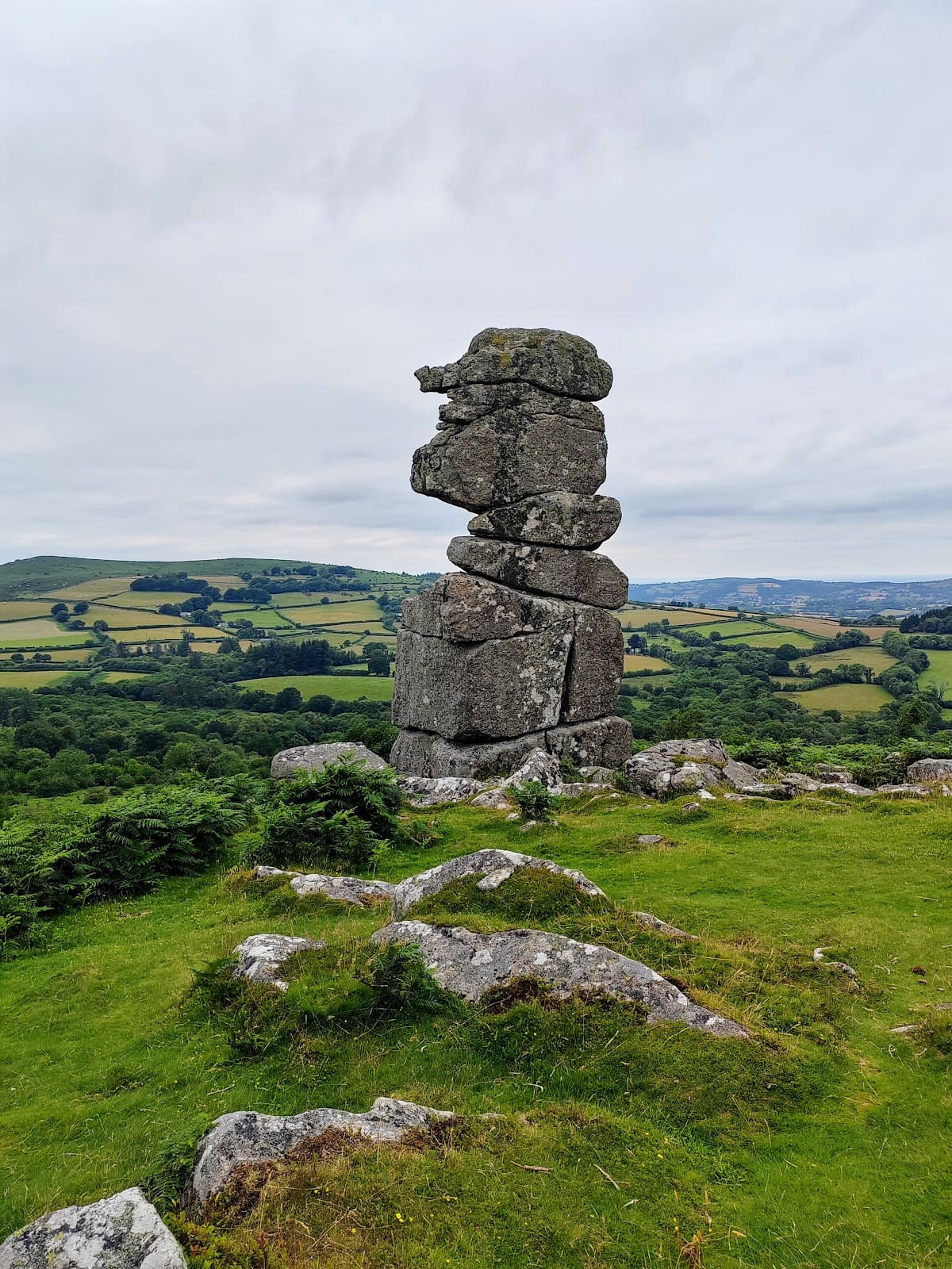 Bowerman's Nose - Image 1