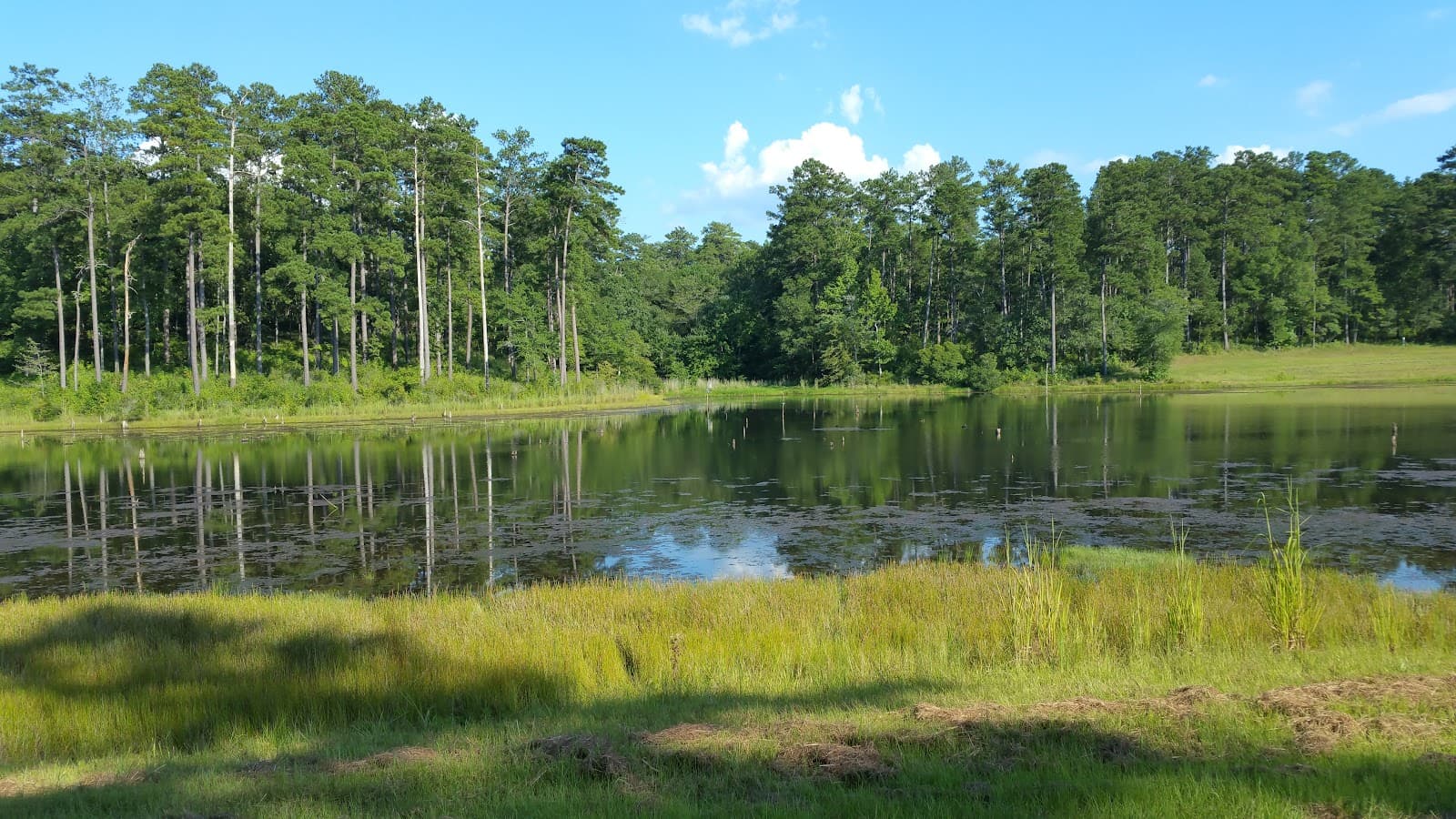 Piedmont National Wildlife Refuge - Image 1