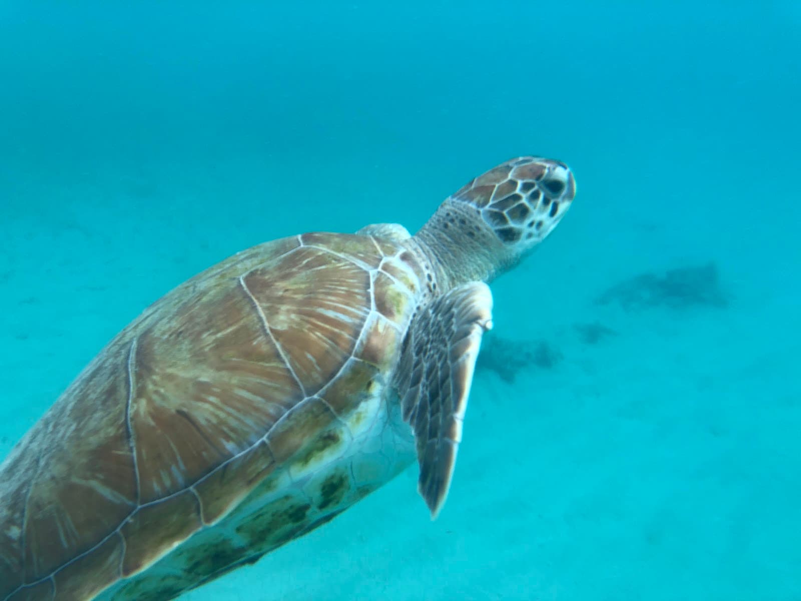 Front Porch - Image 1