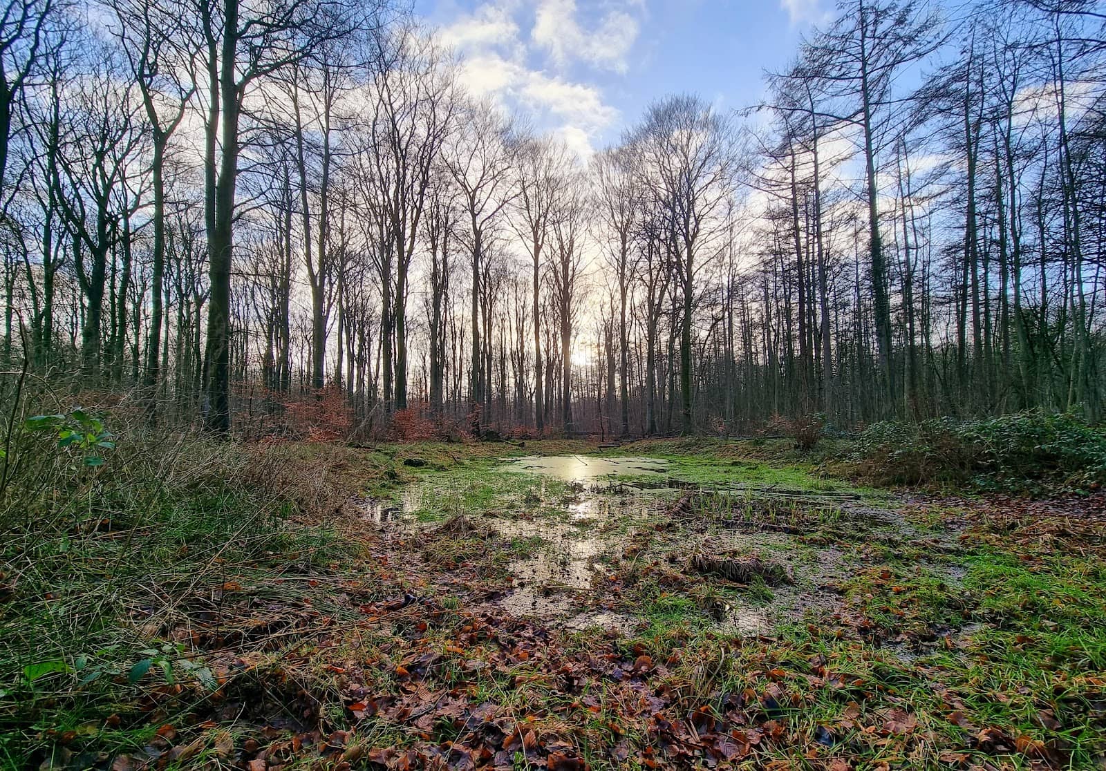 Established Bonfire Spot