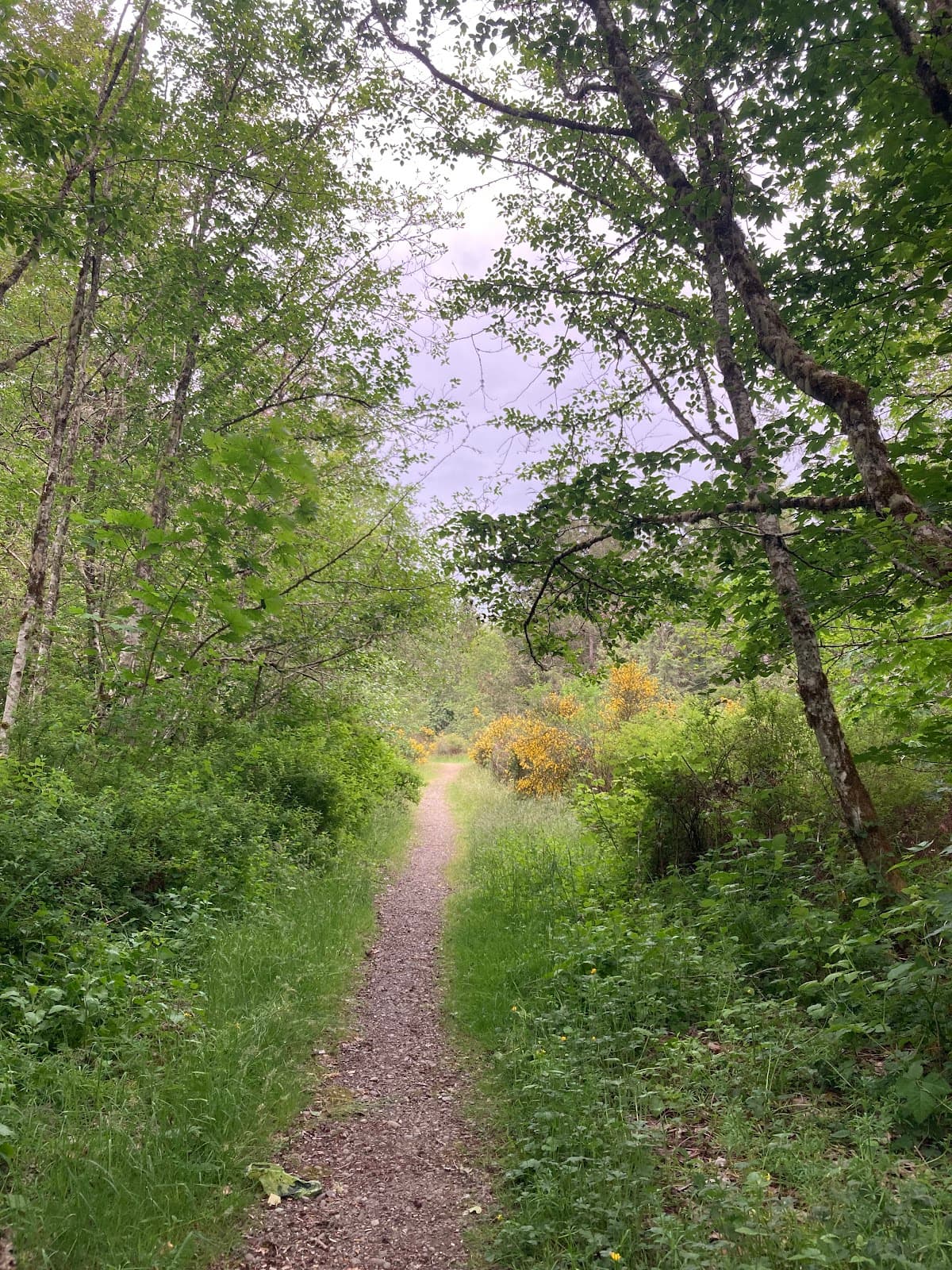 Meigs Park - Image 1