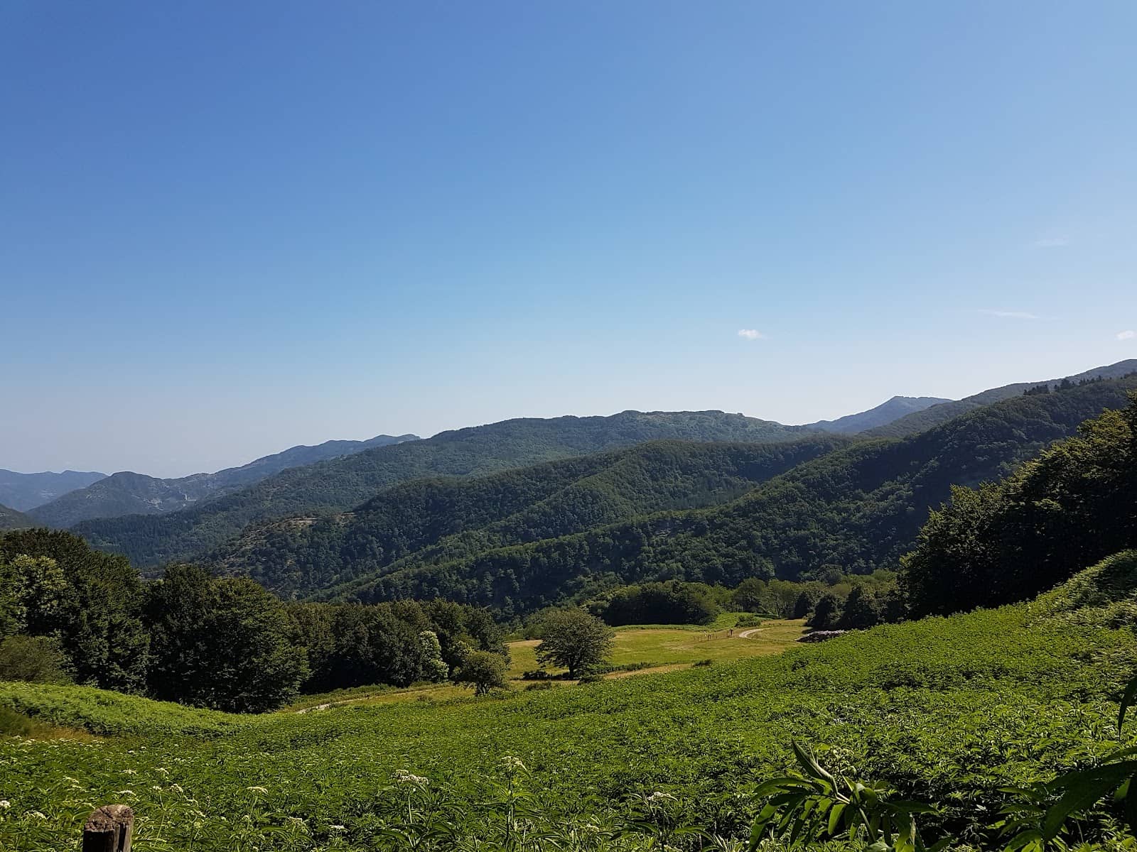 Panoramic Tuscan Views
