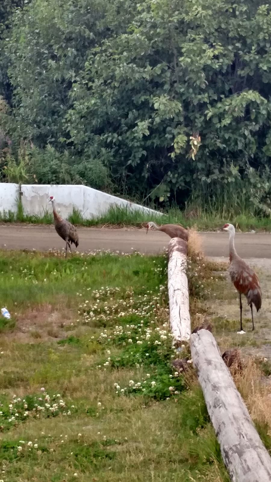 Karen Hornaday Park - Image 1