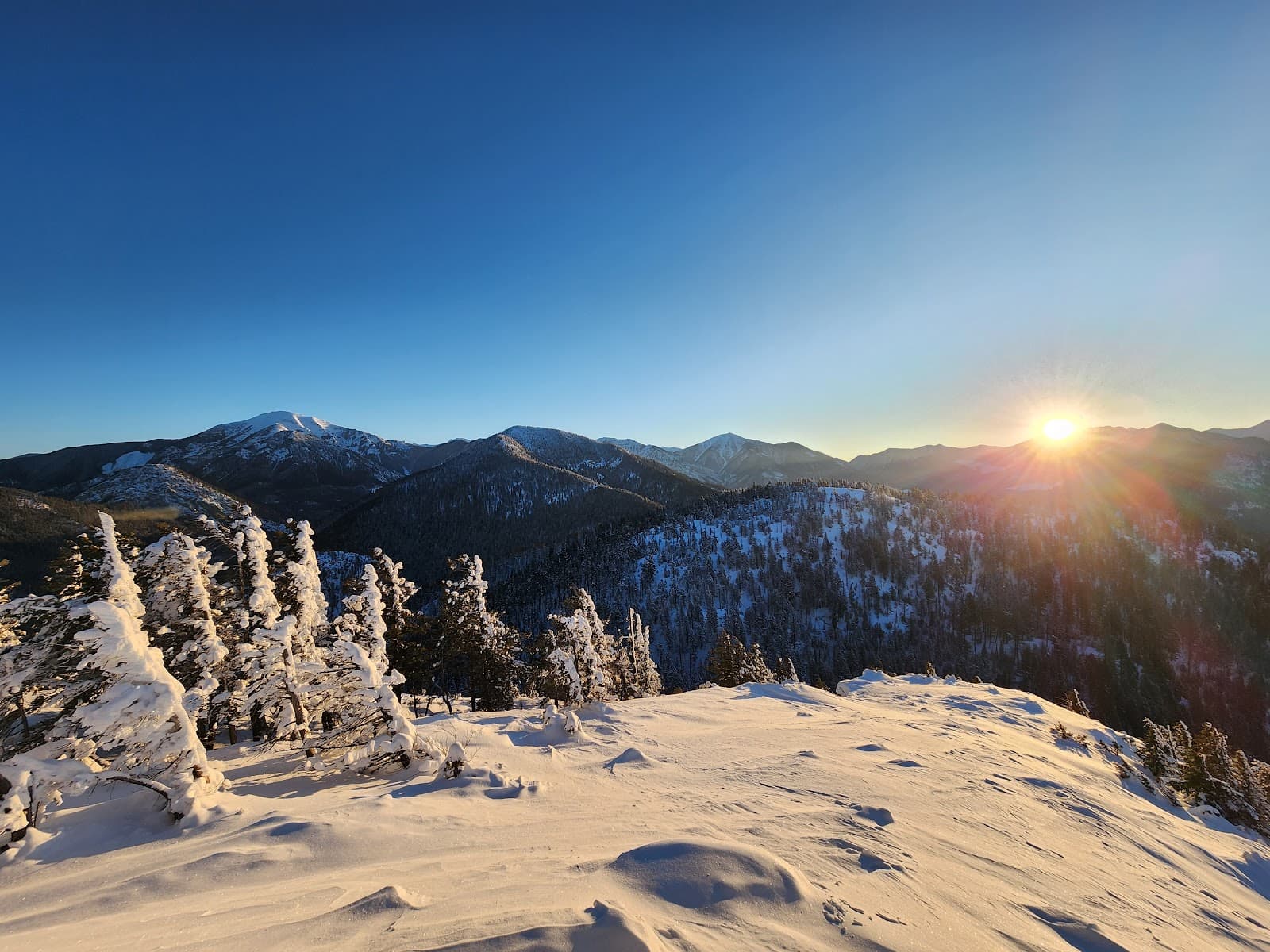 Mount Swansea - Image 1