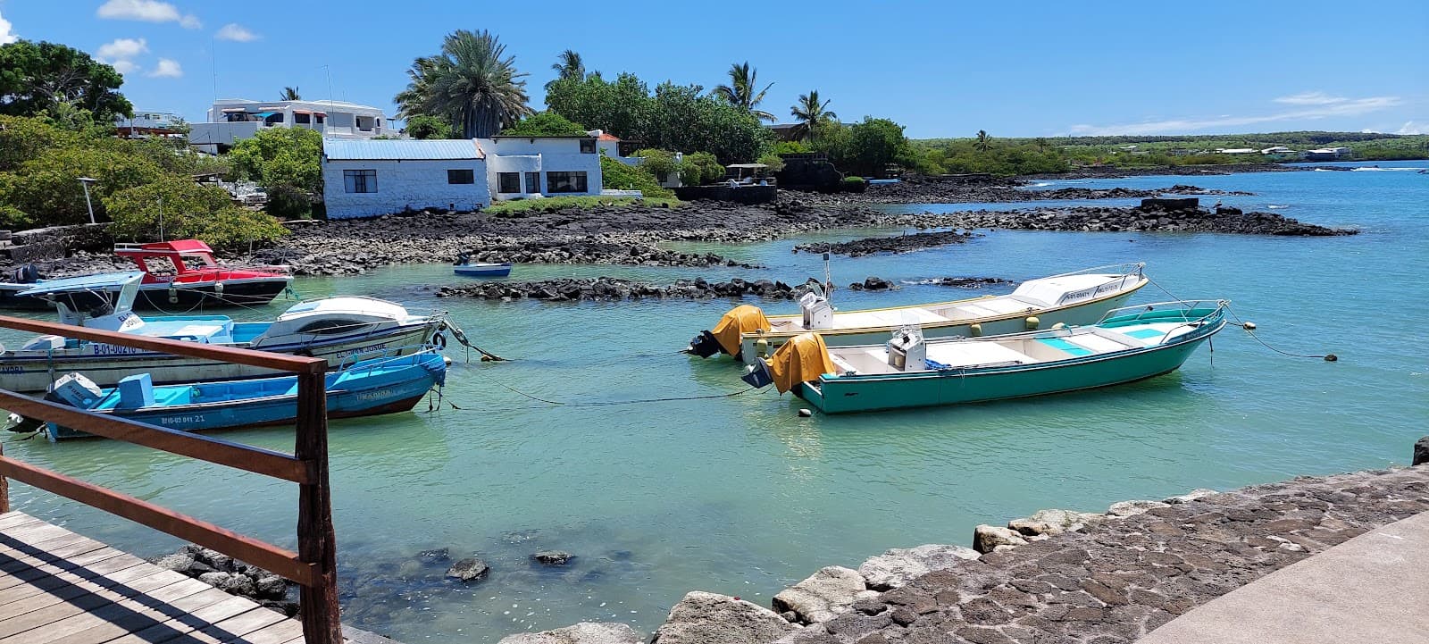 Puerto Ayora - Image 1