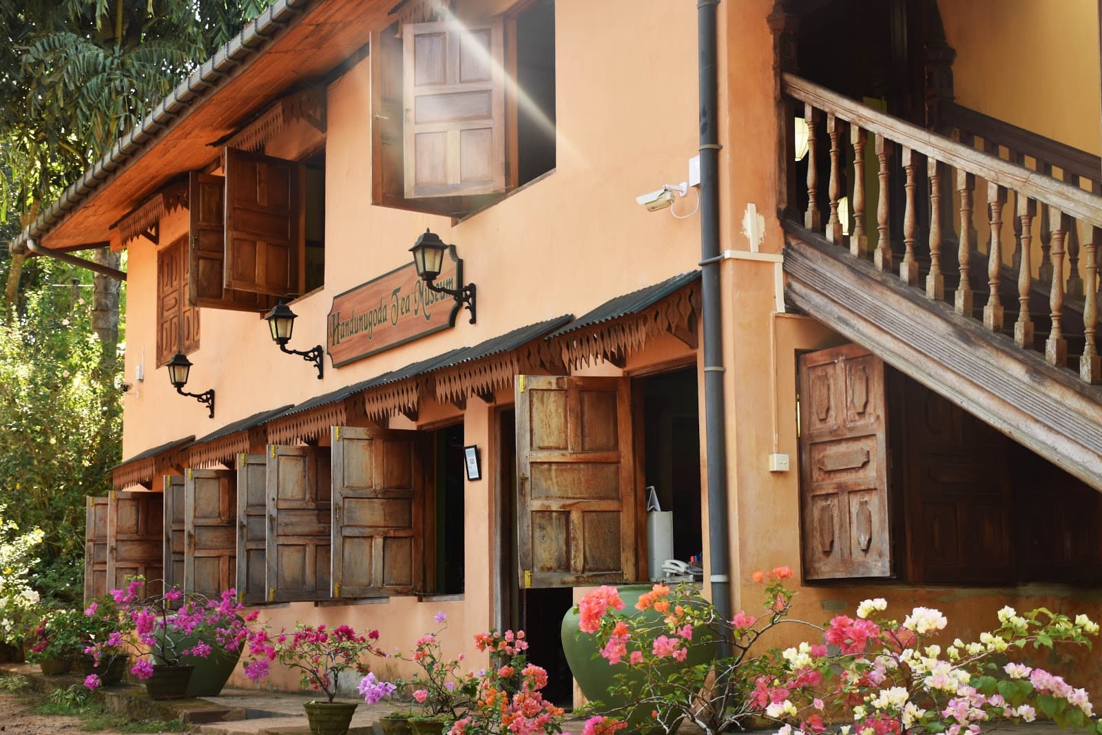 Handunugoda Tea Estate - Image 1