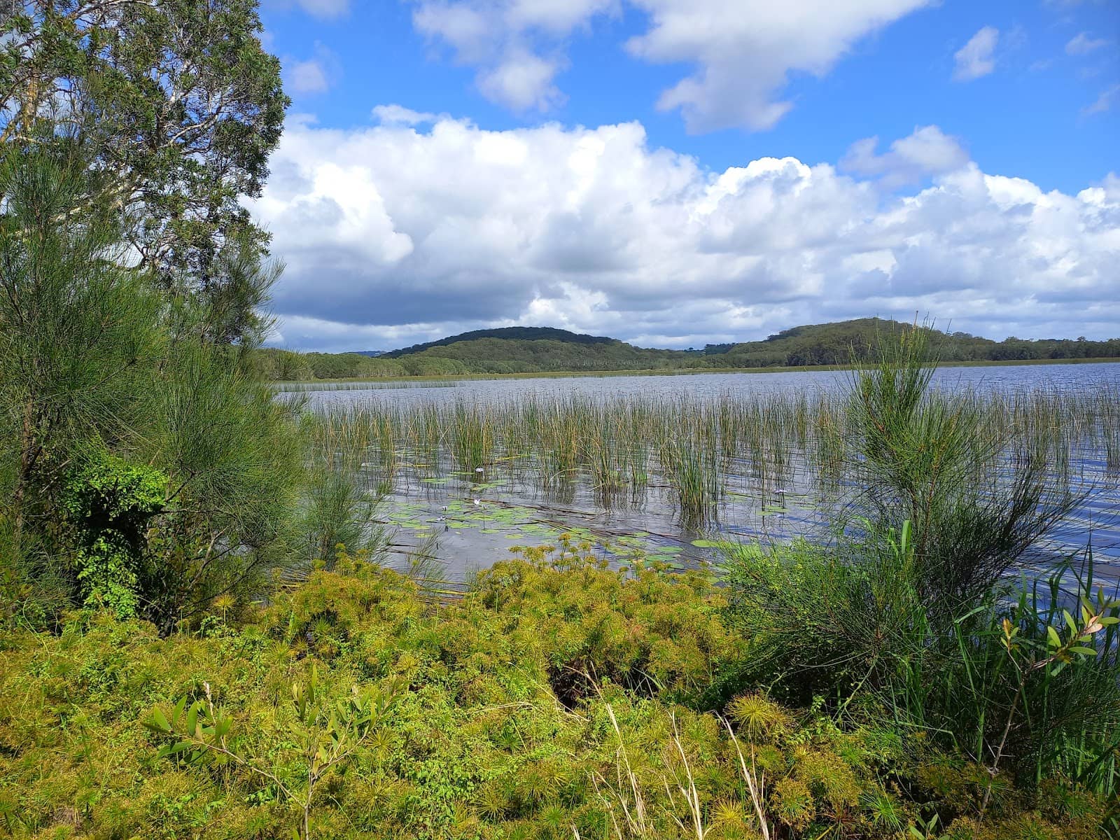 Peaceful Picnic Spots