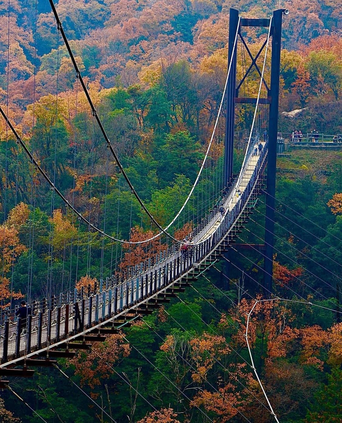 Hoshi no Buranko Bridge (Hoshida Enchi) - Image 1