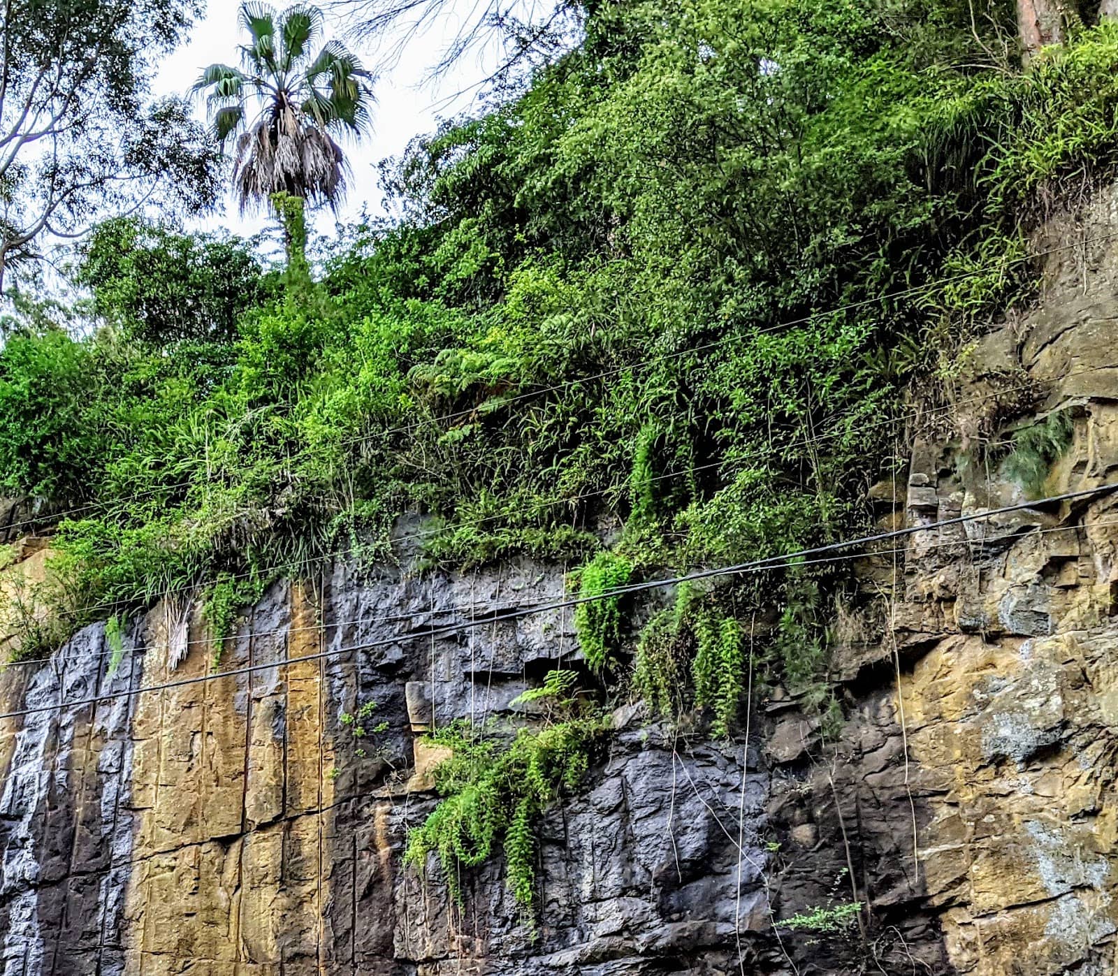 McDonald's Thornleigh