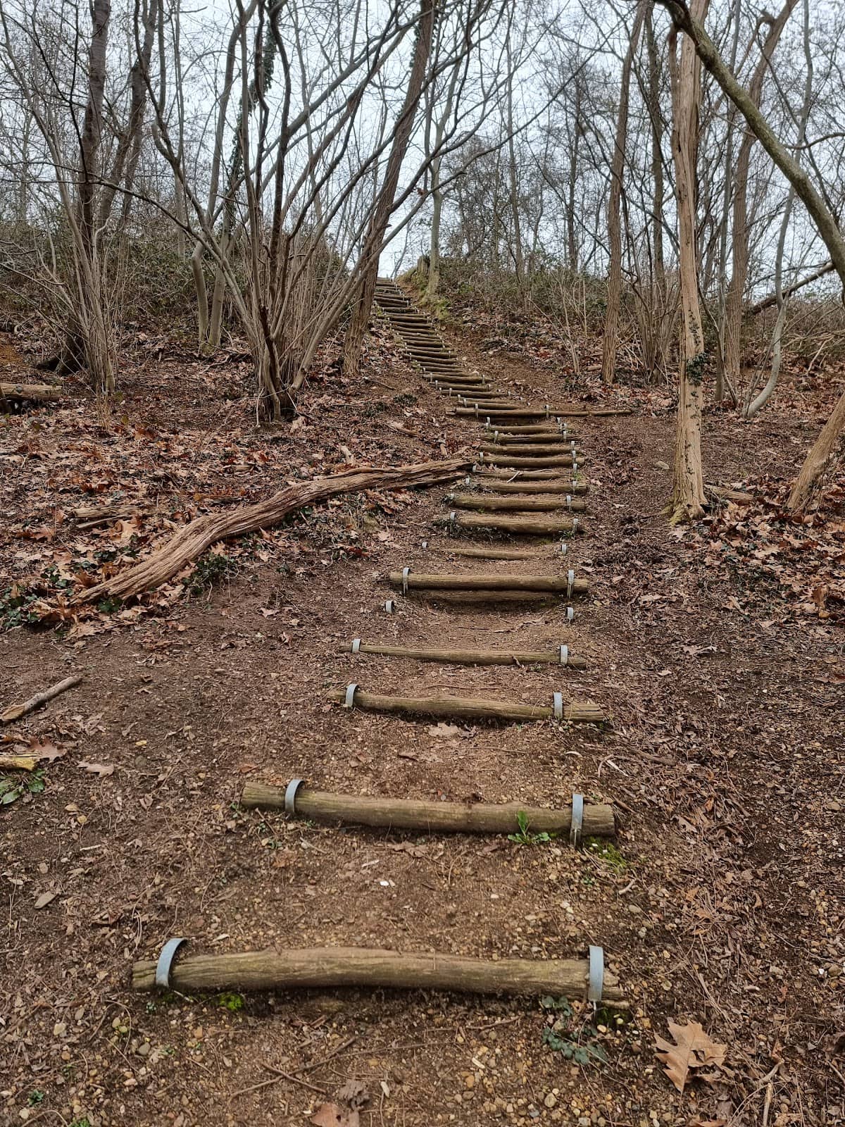 Scenic Views of Limburg