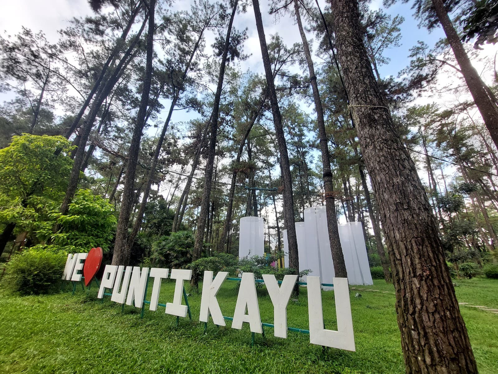 Punti Kayu Forest Park - Image 1