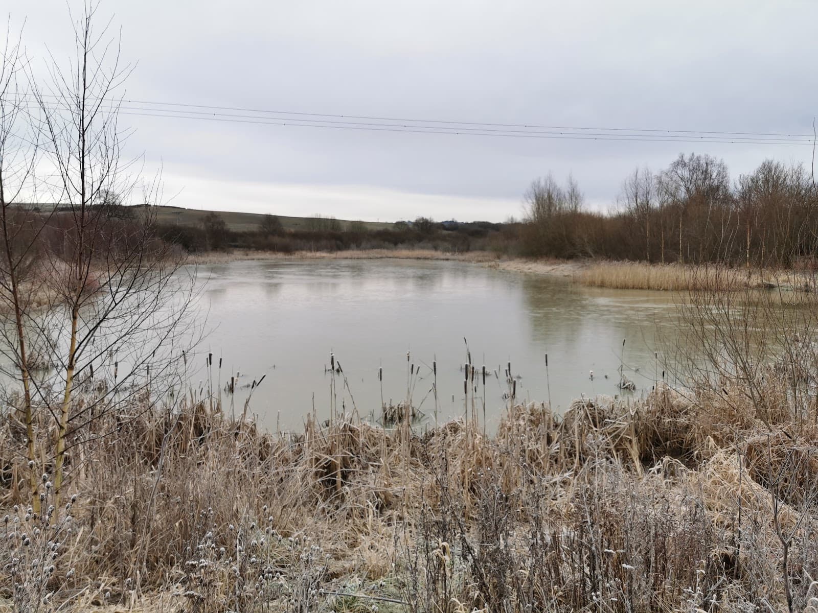Firsby Reservoir Local Nature Reserve - Image 1