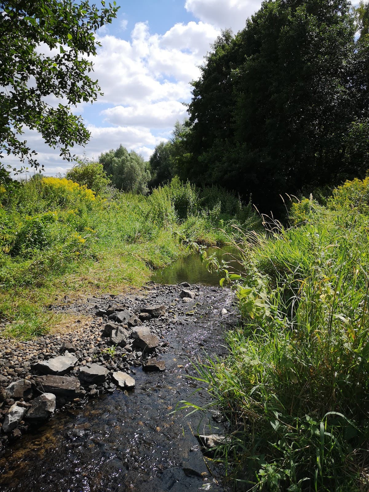 Landschaftspark Wuhletal - Image 1