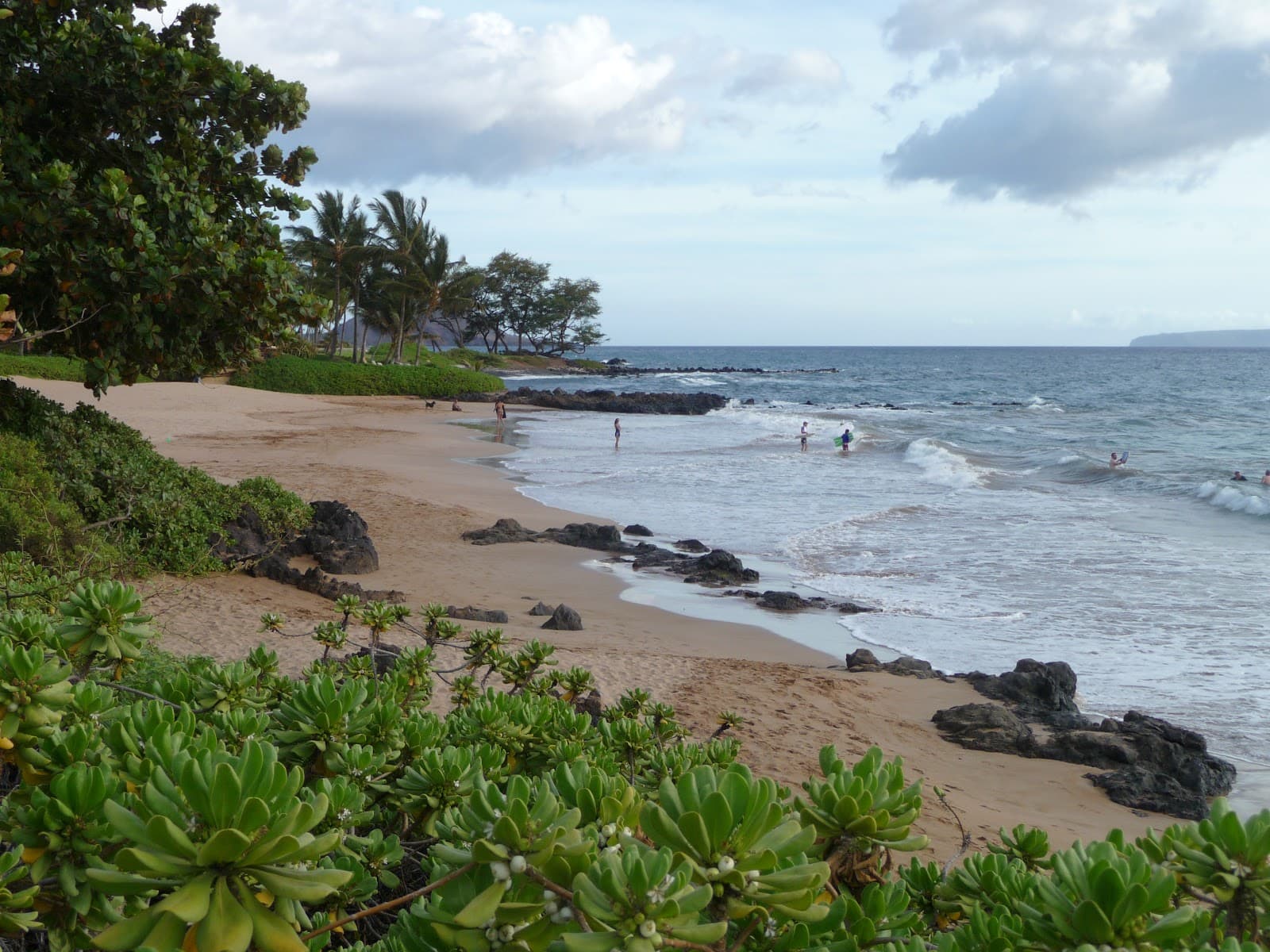 Lahaina Beach Maui - Image 1