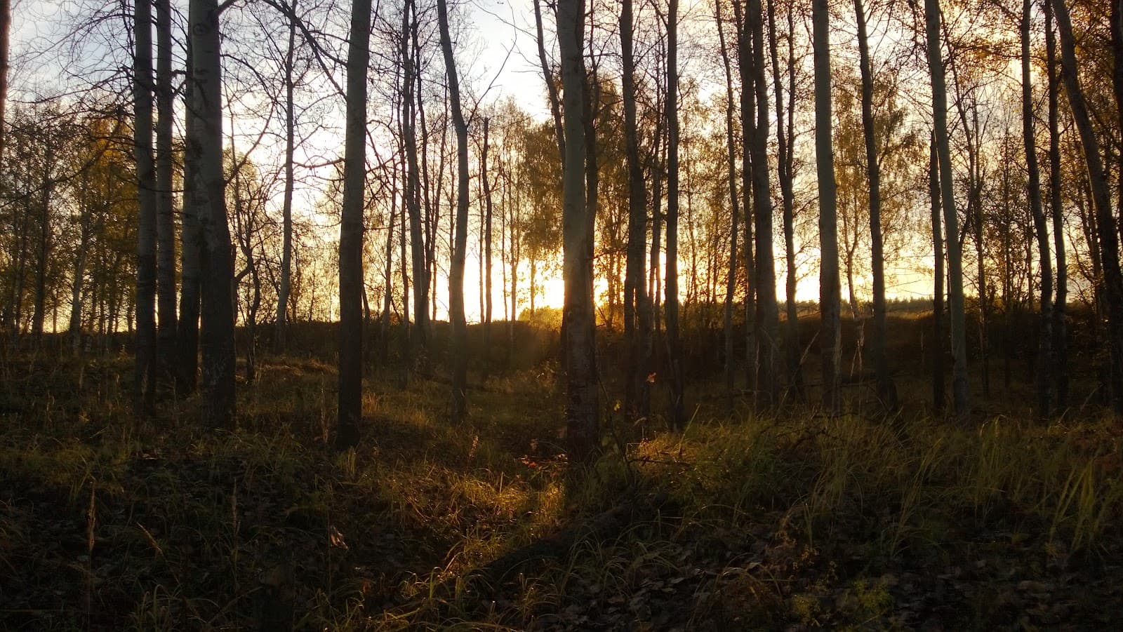 Sarskoye Gorodishche - Image 1
