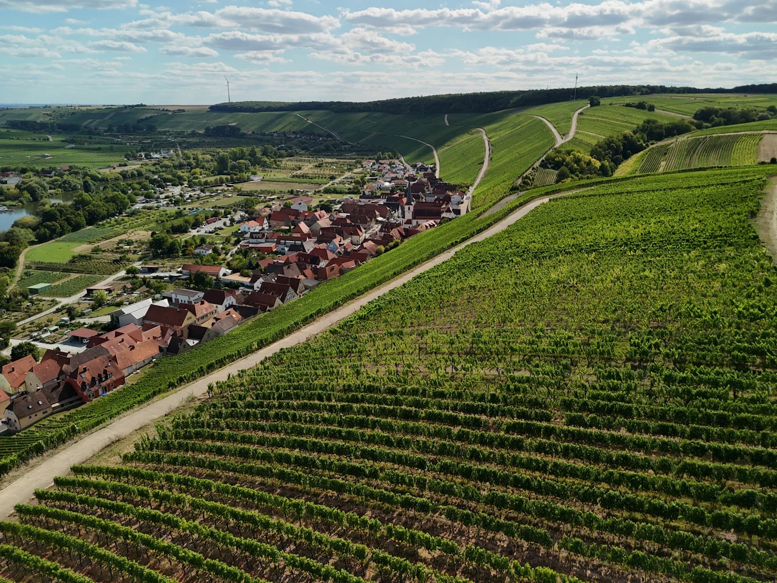 Escherndorfer Lump Viewpoint - Image 1