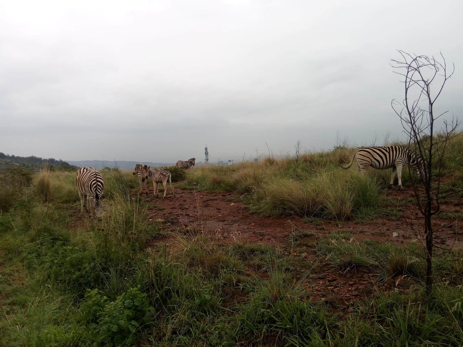 Waterkloof, Gauteng - Image 1