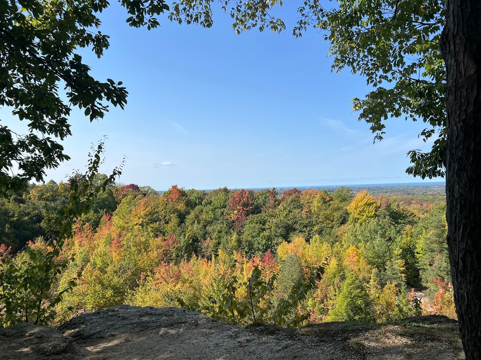 Chapin Forest Reservation - Image 1