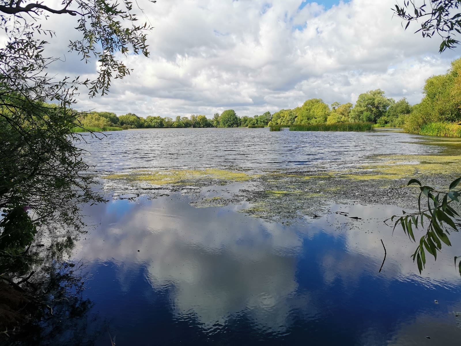 Nene Wetlands Nature Reserve - Image 1