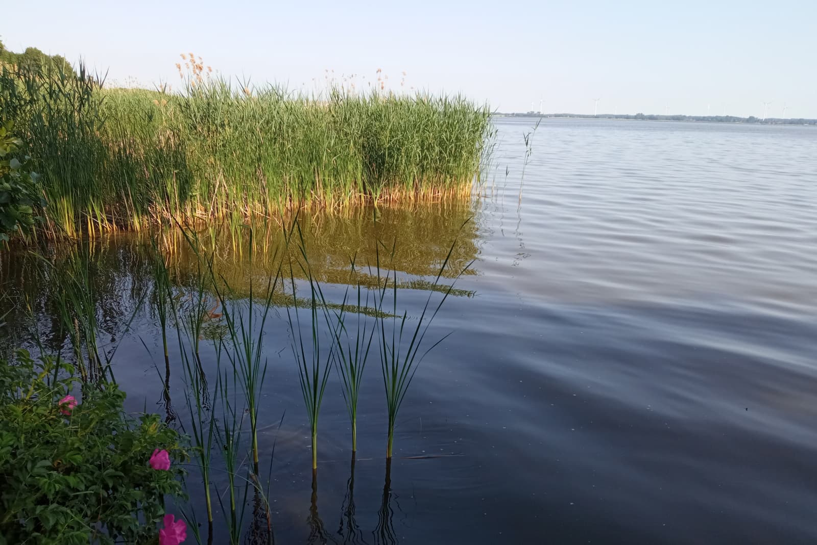 Resko Przymorskie Lake - Image 1