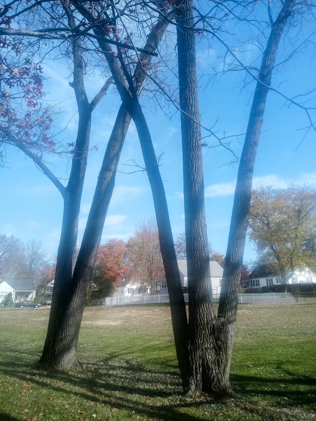 Roland Park Baltimore - Image 1