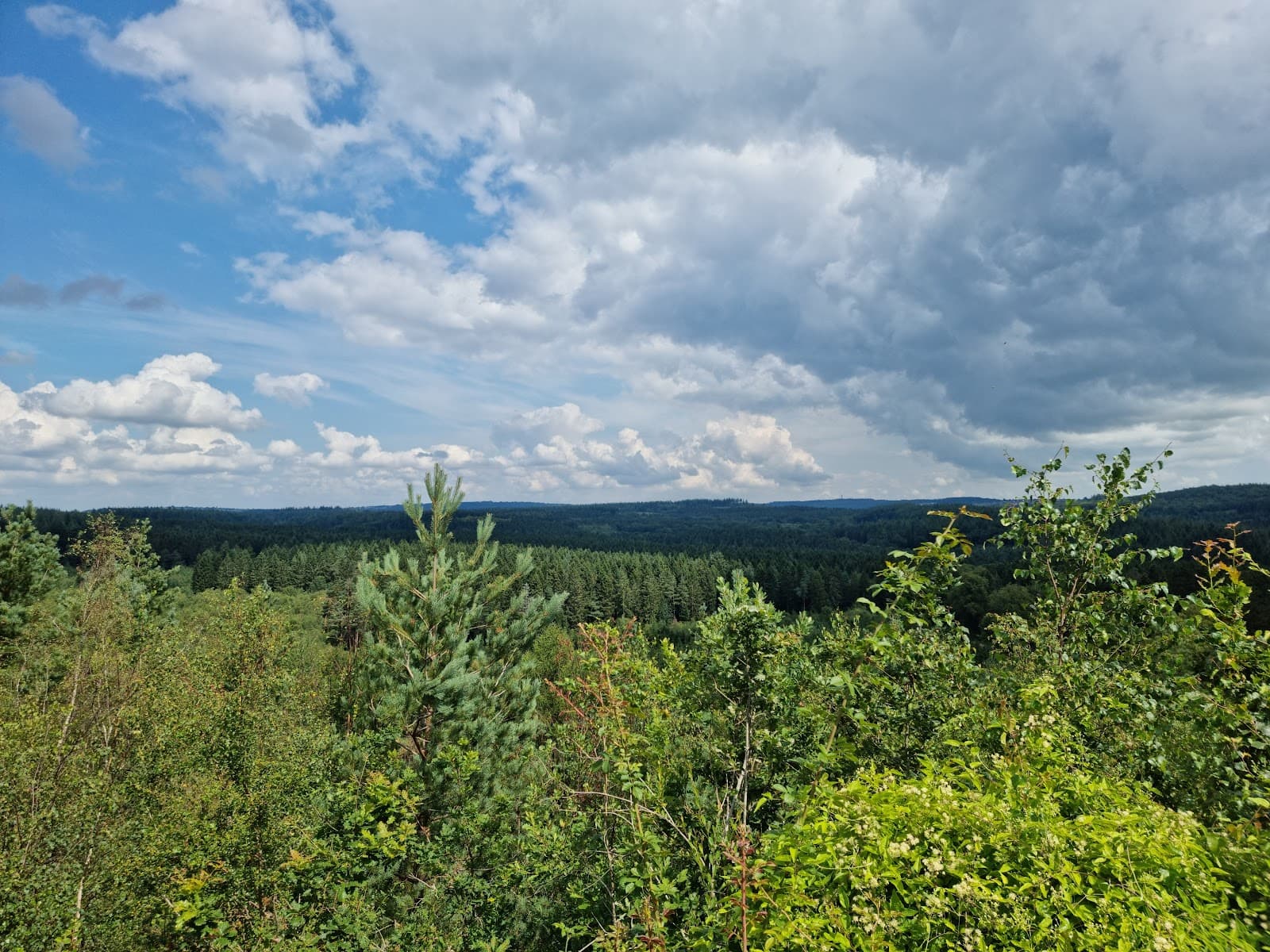 New Fancy View - Image 1