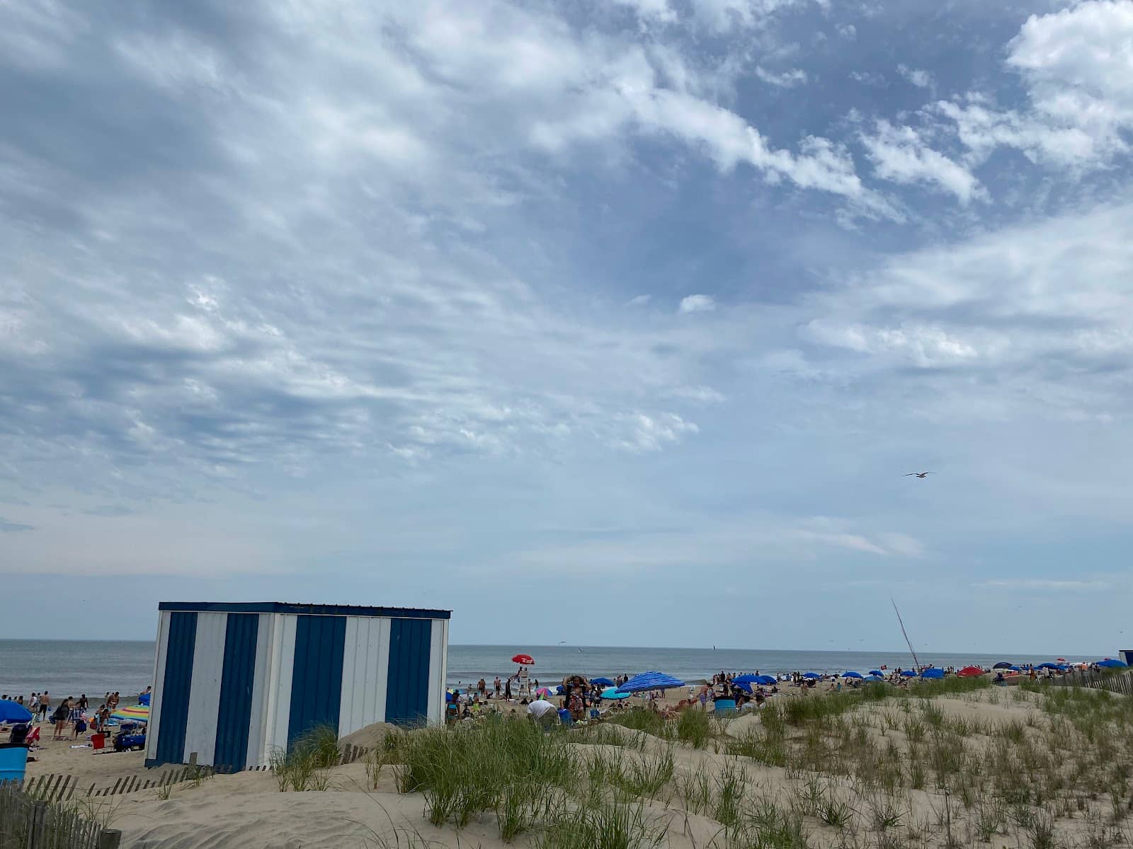 Connecting to the Boardwalk