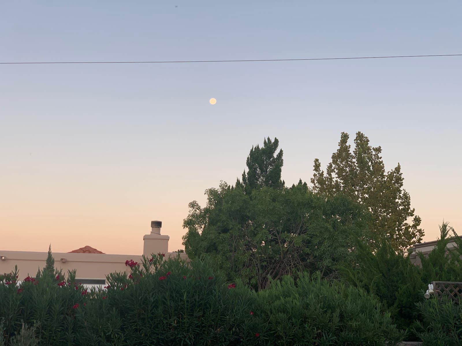 Downtown Las Cruces - Image 1